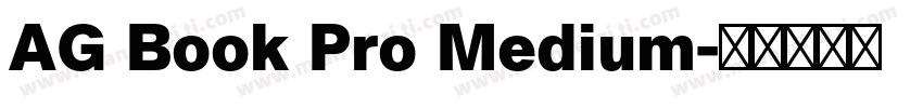 AG Book Pro Medium字体转换
